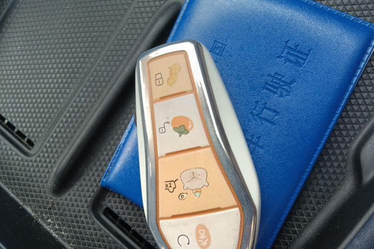 Used XPeng G6 2023 580 Long-Range Pro Vehicle Key