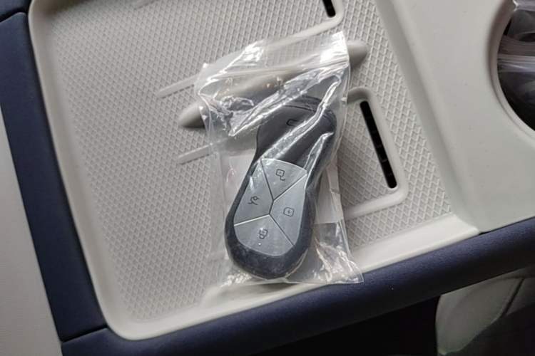 Used XPeng G6 2023 580 Long-Range Max Vehicle Key