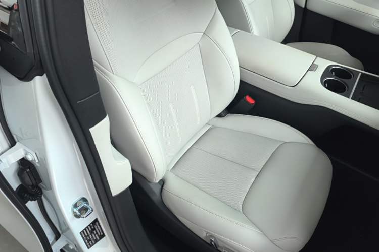 Used XPeng G6 2023 580 Long-Range Pro Right Front Seat