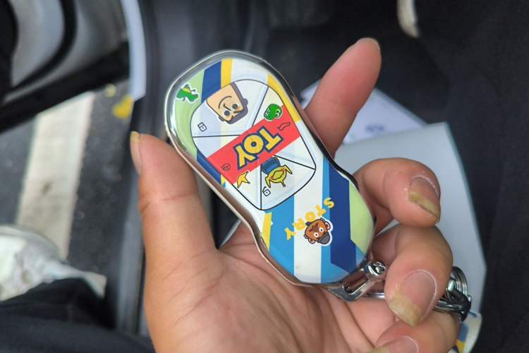 Used XPeng G6 2023 580 Long-Range Pro Vehicle Key