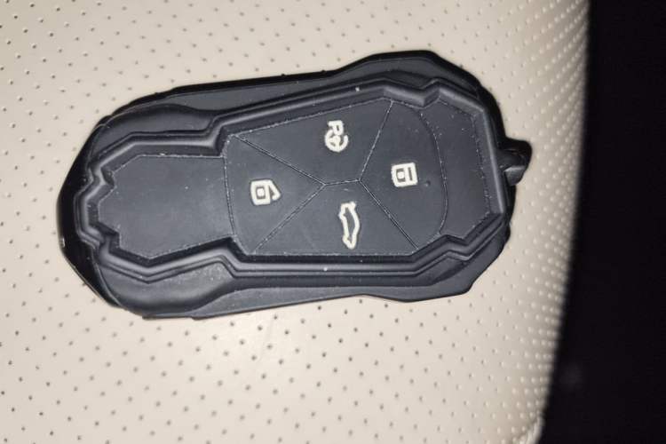 Used XPeng G6 2023 755 Ultra-Long Range Max Vehicle Key
