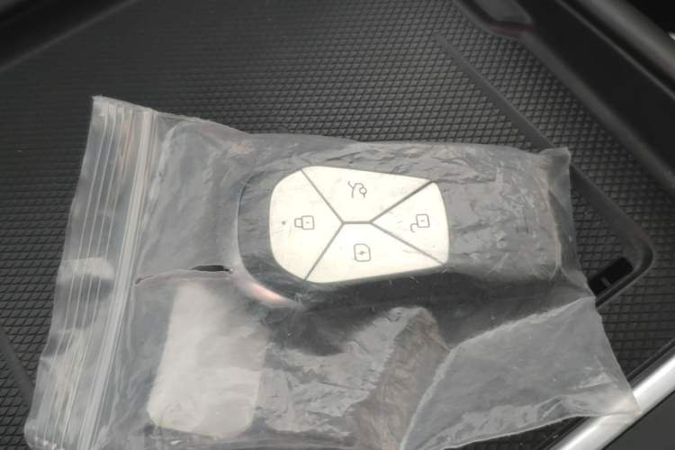Used XPeng G6 2024 580 Long-Range Plus Vehicle Key