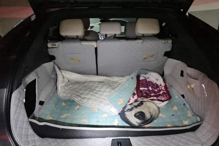 Used XPeng G6 2024 580 Long-Range Plus Trunk
