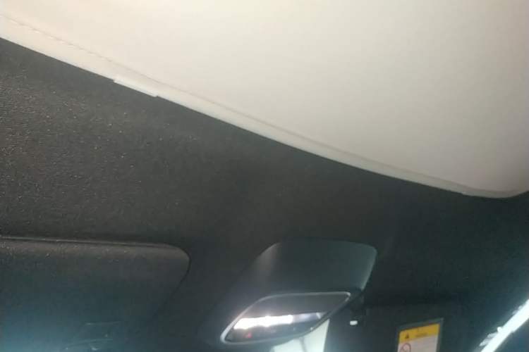 Used XPeng G6 2024 580 Long-Range Plus Headliner