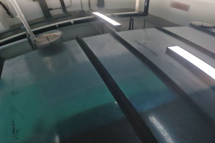 Used XPeng G6 2025 625 Long-Range Max Tech Edition Roof