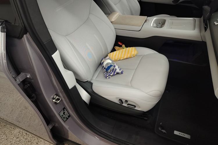 Used XPeng G6 2025 725 Ultra-Long Range Max Flagship Edition Right Front Seat
