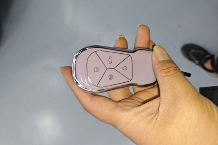 Used XPeng G9 2022 702 Pro Vehicle Key
