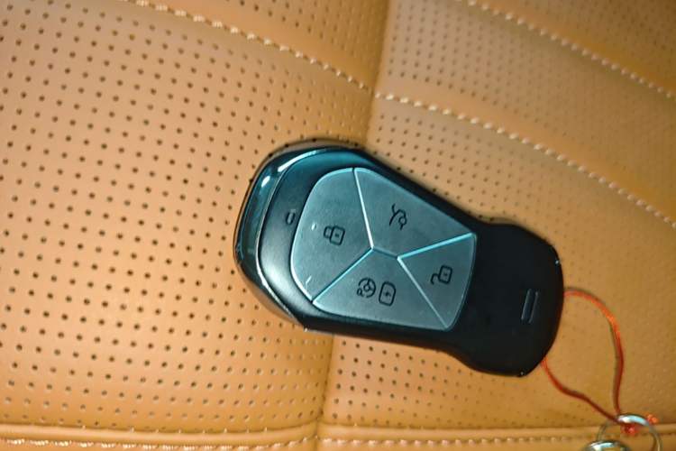 Used XPeng G9 2022 650 Performance Edition Max Vehicle Key