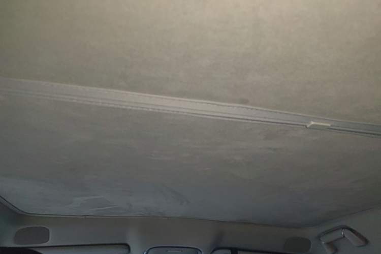 Used XPeng G9 2022 650 Performance Edition Max Headliner