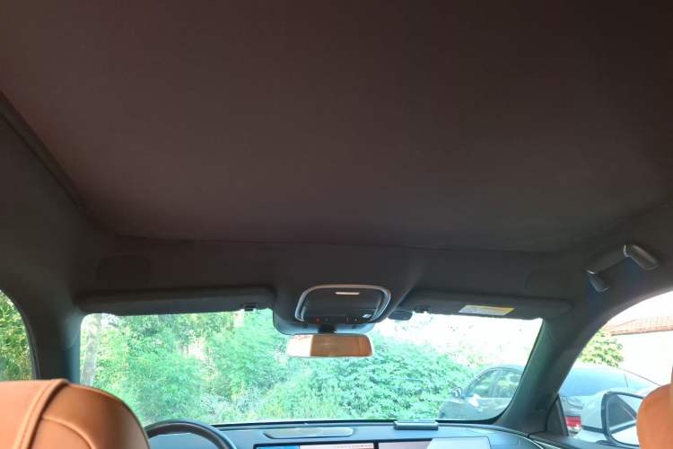 Used XPeng G9 2022 702 Pro Headliner