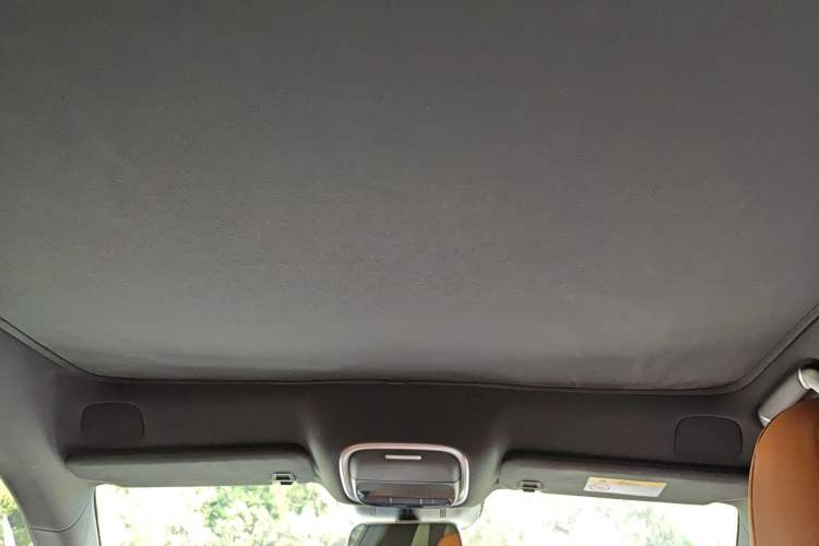 Used XPeng G9 2022 650 Performance Edition Max Headliner