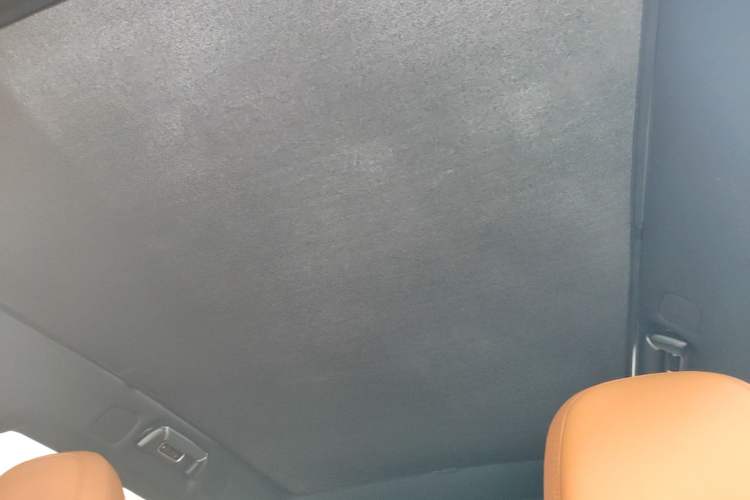 Used XPeng G9 2022 570 Pro Headliner