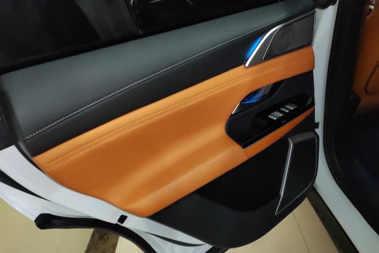 Used XPeng G9 2022 570 Pro Left Rear Door Interior