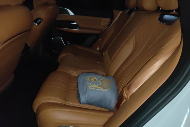 Used XPeng G9 2022 650 Performance Edition Max Left Rear Seat