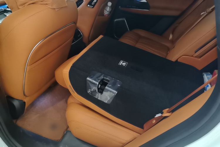 Used XPeng G9 2022 702 Max Left Rear Seat