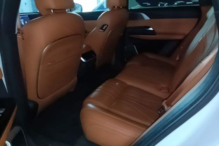 Used XPeng G9 2022 570 Pro Left Rear Seat