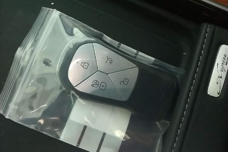 Used XPeng G9 2022 650 Performance Edition Pro Vehicle Key