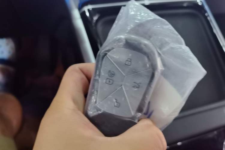 Used XPeng G9 2022 702 Max Vehicle Key