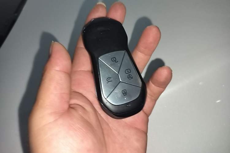 Used XPeng G9 2022 702 Max Vehicle Key