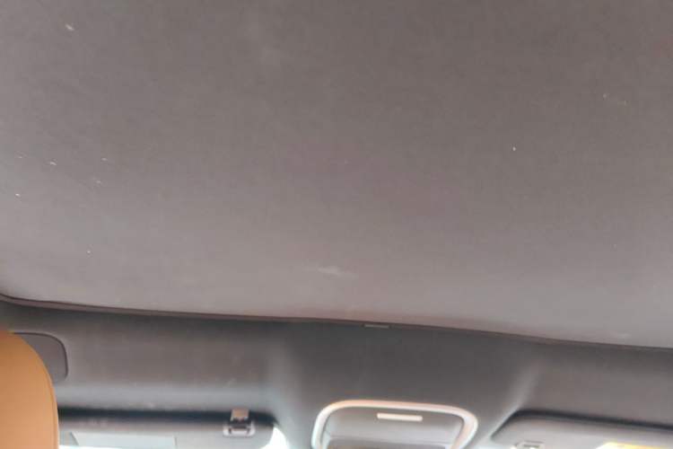 Used XPeng G9 2024 702 Max Headliner