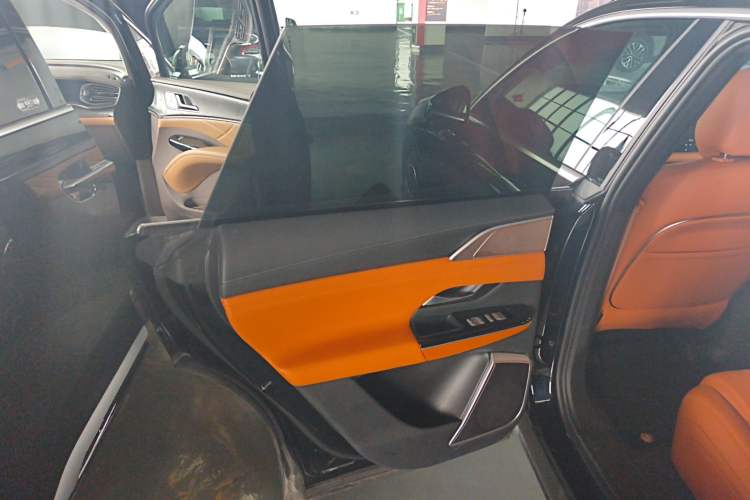 Used XPeng G9 2024 570 Max Left Rear Door Interior