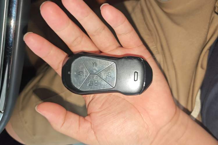 Used XPeng G9 2024 650 Max Vehicle Key