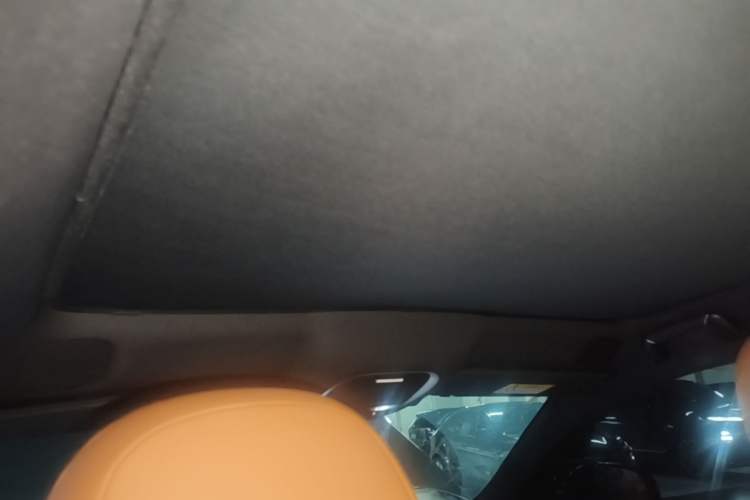 Used XPeng G9 2024 702 Max Headliner