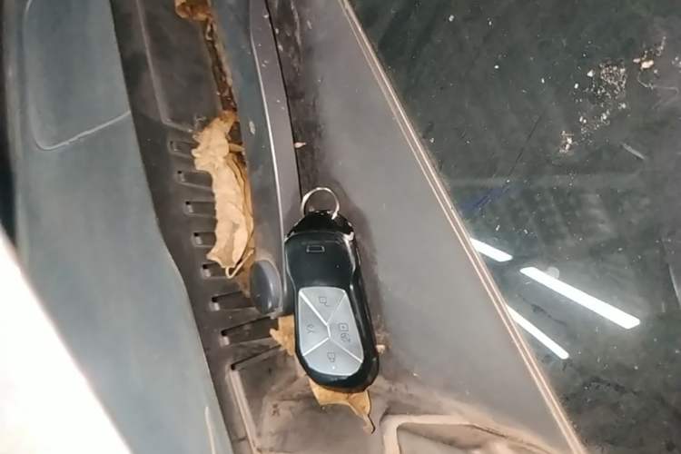 Used XPeng G9 2024 702 Max Vehicle Key
