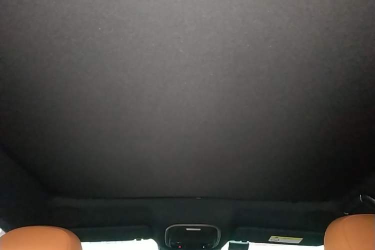 Used XPeng G9 2024 570 Max Headliner