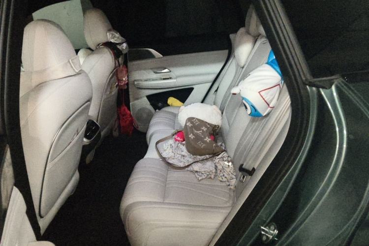 Used XPeng G9 2024 702 Max Left Rear Seat