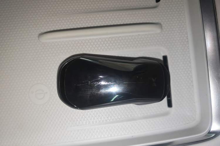 Used XPeng G9 2024 570 Max Vehicle Key