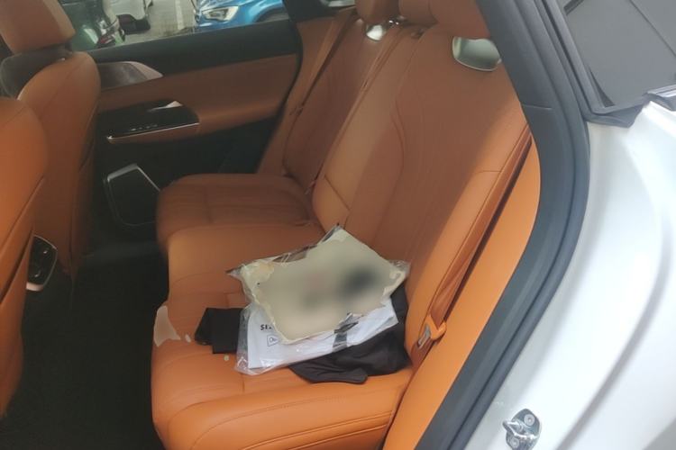 Used XPeng G9 2024 702 Max Left Rear Seat
