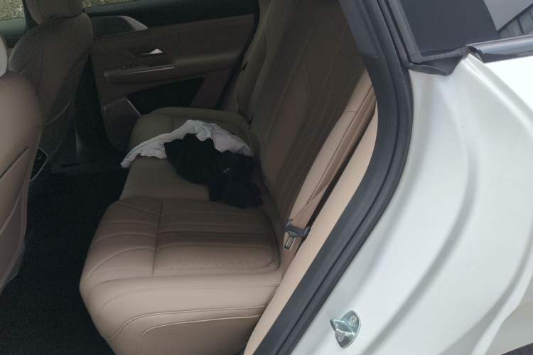 Used XPeng G9 2025 725 with Ultra-Long Range Max Left Rear Seat