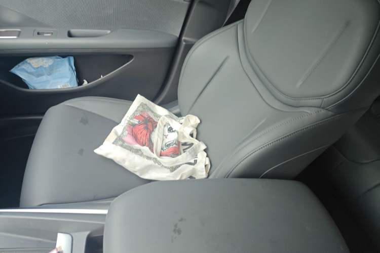 Used XPeng MONA M03 2024 515 Long-Range Left Front Seat