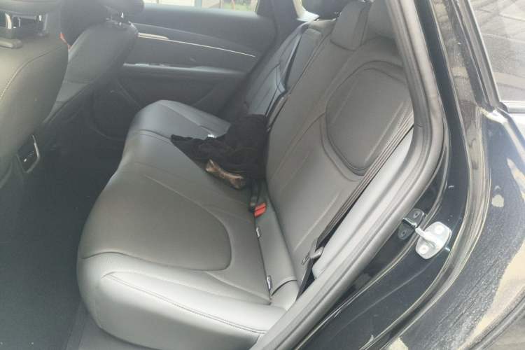 Used XPeng MONA M03 2024 620 with Ultra-Long Range Left Rear Seat