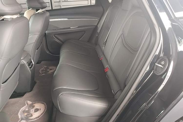 Used XPeng MONA M03 2024 620 with Ultra-Long Range Left Rear Seat