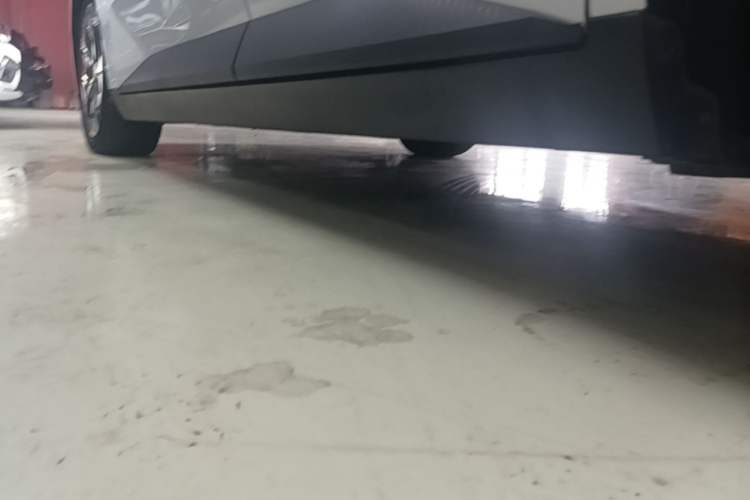 Used XPeng MONA M03 2024 515 Long-Range Left Side Sill