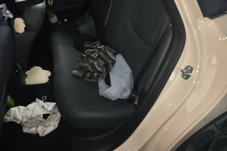 Used XPeng MONA M03 2024 620 with Ultra-Long Range Left Rear Seat