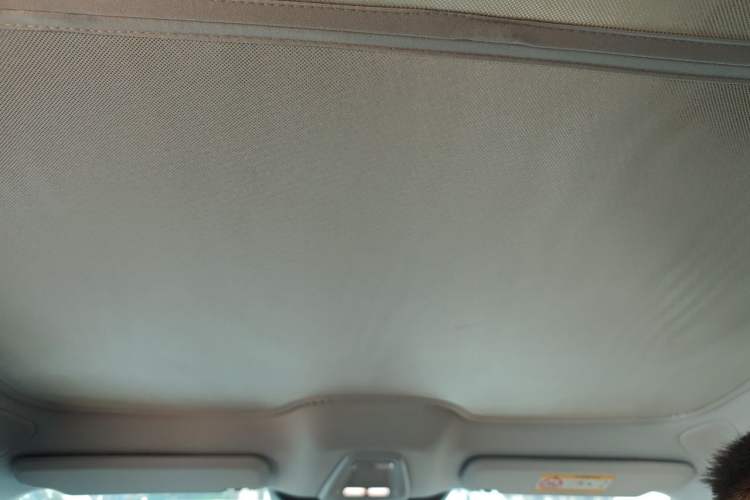 Used XPeng MONA M03 2025 515 Long-Range Plus Headliner