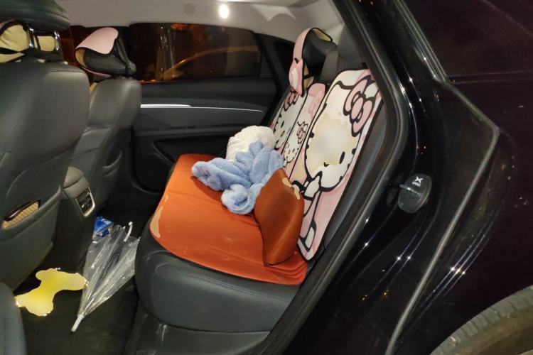 Used XPeng MONA M03 2025 620 Ultra-Long Range Plus Left Rear Seat