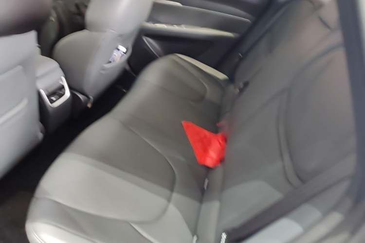 Used XPeng MONA M03 2025 502 Long-Range Max Left Rear Seat