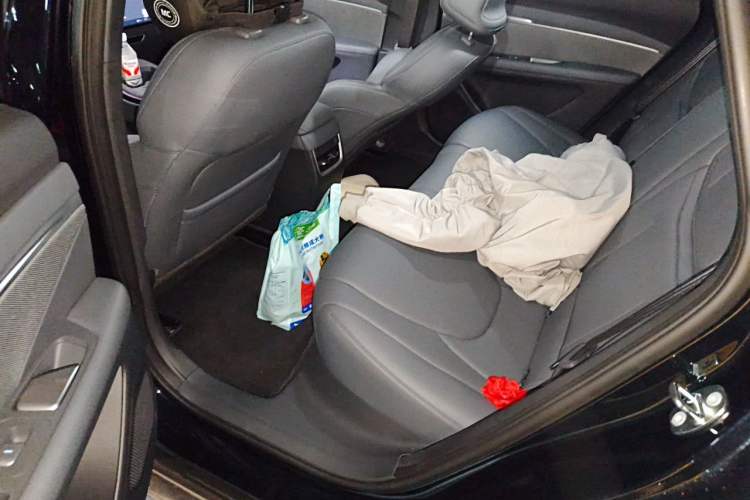 Used XPeng MONA M03 2025 502 Long-Range Max Left Rear Seat