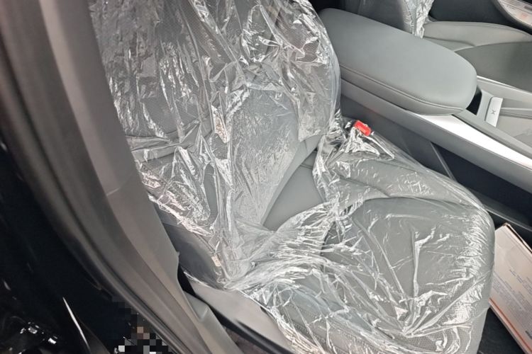 Used XPeng MONA M03 2025 502 Long-Range Max Right Front Seat