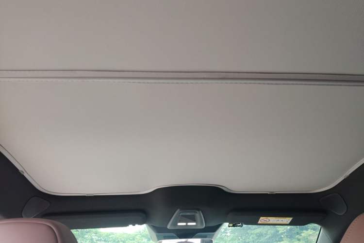 Used XPeng MONA M03 2025 515 Long-Range Plus Headliner