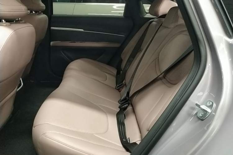 Used XPeng MONA M03 2025 600 with Ultra-Long Range Max Left Rear Seat
