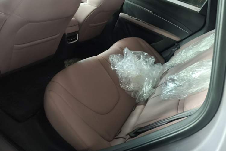 Used XPeng MONA M03 2025 502 Long-Range Max Left Rear Seat