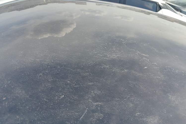 Used XPeng MONA M03 2025 502 Long-Range Max Roof