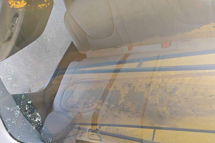 Used XPeng MONA M03 2025 515 Long-Range Plus Headliner