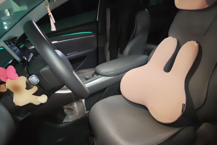 Used XPeng MONA M03 2025 502 Long-Range Max Left Front Seat
