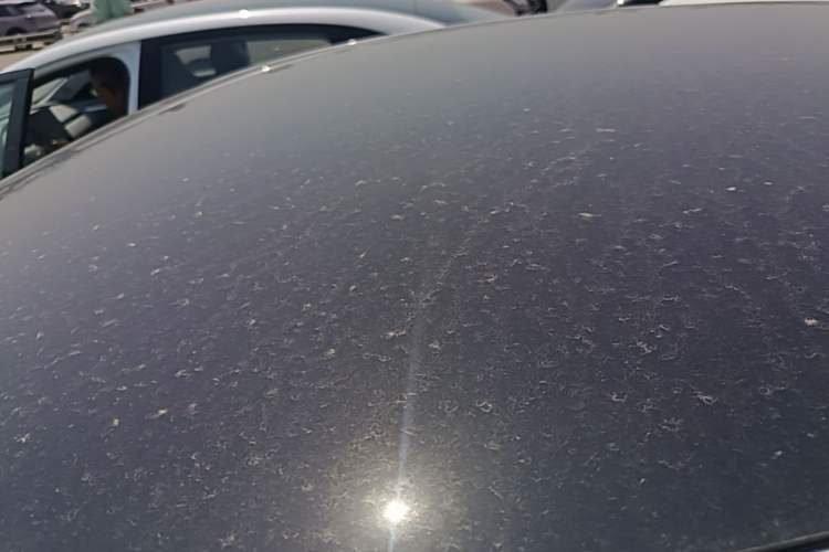 Used XPeng MONA M03 2025 600 with Ultra-Long Range Max Roof